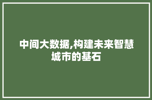 中间大数据,构建未来智慧城市的基石