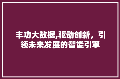 丰功大数据,驱动创新，引领未来发展的智能引擎