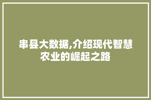 串县大数据,介绍现代智慧农业的崛起之路