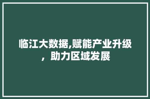 临江大数据,赋能产业升级，助力区域发展