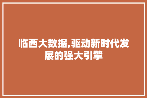 临西大数据,驱动新时代发展的强大引擎