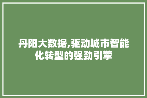 丹阳大数据,驱动城市智能化转型的强劲引擎