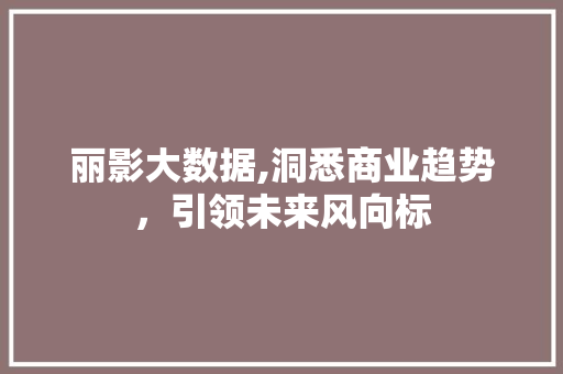 丽影大数据,洞悉商业趋势，引领未来风向标