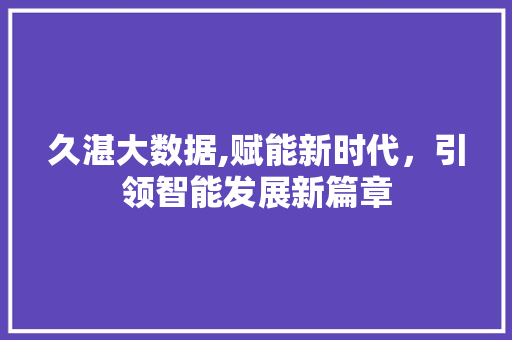 久湛大数据,赋能新时代，引领智能发展新篇章