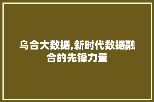 乌合大数据,新时代数据融合的先锋力量