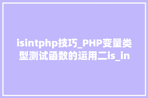 isintphp技巧_PHP变量类型测试函数的运用二is_int的用法