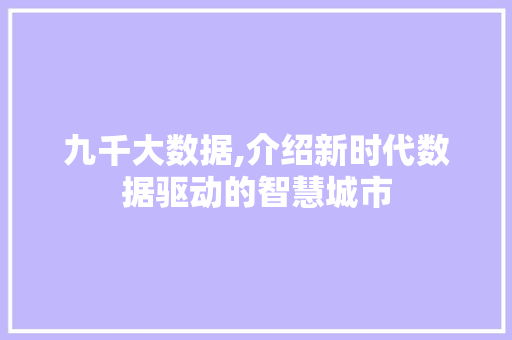 九千大数据,介绍新时代数据驱动的智慧城市