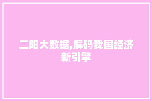 二阳大数据,解码我国经济新引擎