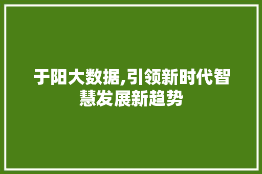 于阳大数据,引领新时代智慧发展新趋势