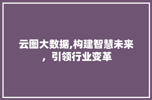 云图大数据,构建智慧未来，引领行业变革