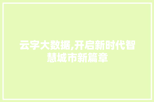 云字大数据,开启新时代智慧城市新篇章