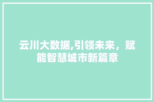 云川大数据,引领未来，赋能智慧城市新篇章