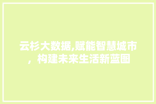 云杉大数据,赋能智慧城市，构建未来生活新蓝图