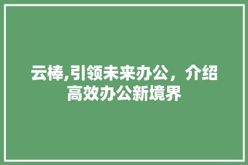 云棒,引领未来办公，介绍高效办公新境界