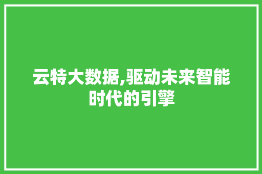 云特大数据,驱动未来智能时代的引擎