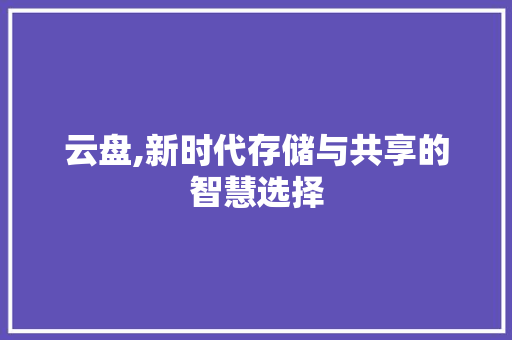 云盘,新时代存储与共享的智慧选择