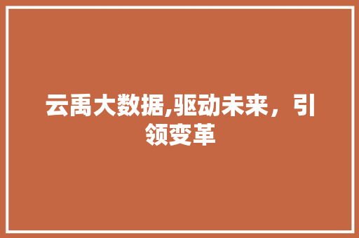 云禹大数据,驱动未来，引领变革