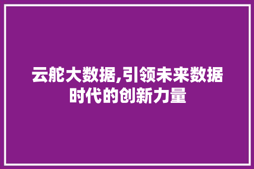 云舵大数据,引领未来数据时代的创新力量