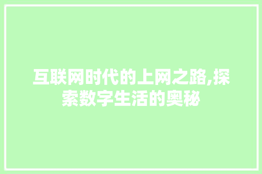 互联网时代的上网之路,探索数字生活的奥秘