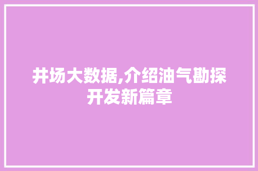 井场大数据,介绍油气勘探开发新篇章