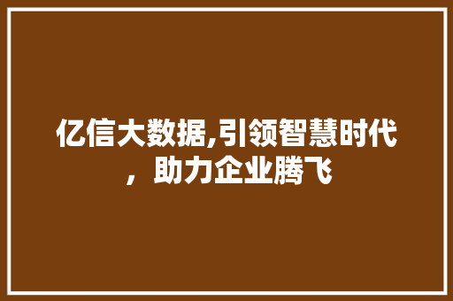 亿信大数据,引领智慧时代，助力企业腾飞
