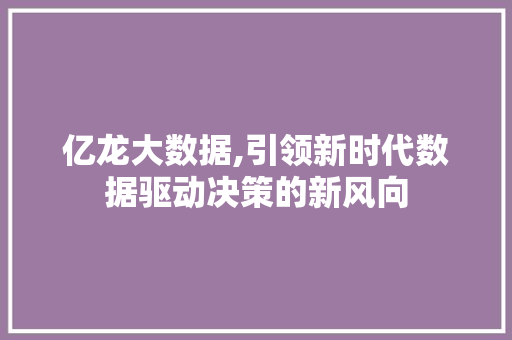 亿龙大数据,引领新时代数据驱动决策的新风向