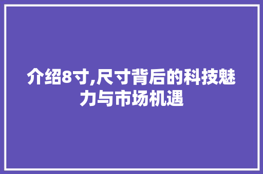 介绍8寸,尺寸背后的科技魅力与市场机遇