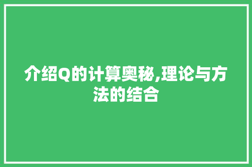 介绍Q的计算奥秘,理论与方法的结合
