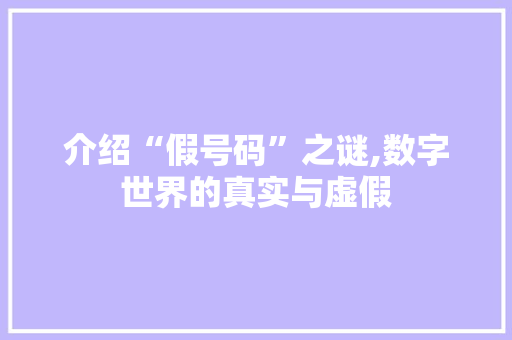 介绍“假号码”之谜,数字世界的真实与虚假