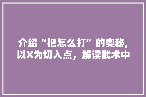 介绍“把怎么打”的奥秘,以X为切入点，解读武术中的智慧与步骤