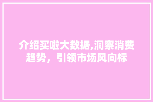 介绍买啦大数据,洞察消费趋势，引领市场风向标