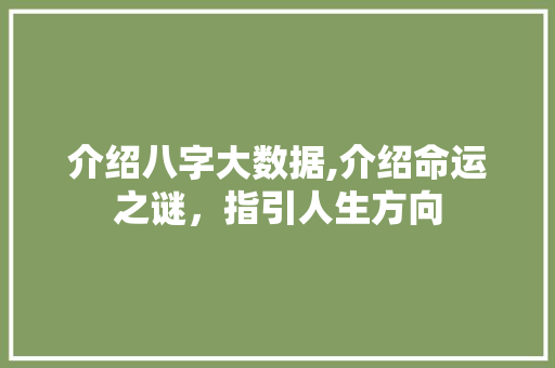 介绍八字大数据,介绍命运之谜，指引人生方向