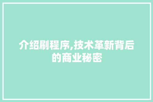 介绍刷程序,技术革新背后的商业秘密