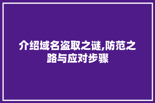 介绍域名盗取之谜,防范之路与应对步骤