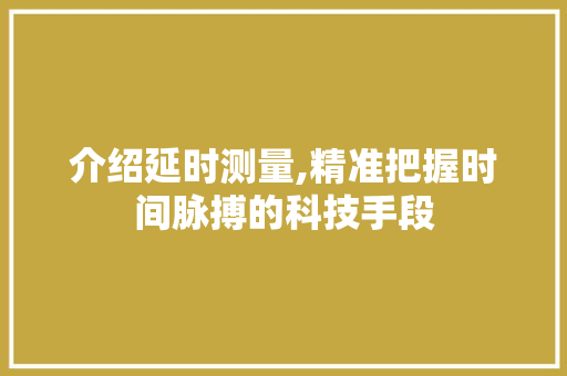 介绍延时测量,精准把握时间脉搏的科技手段
