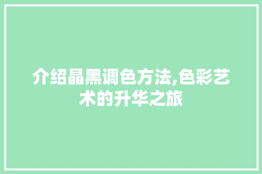 介绍晶黑调色方法,色彩艺术的升华之旅