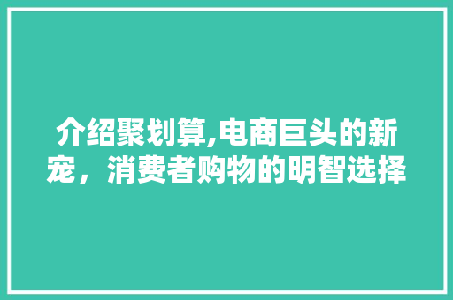 介绍聚划算,电商巨头的新宠，消费者购物的明智选择