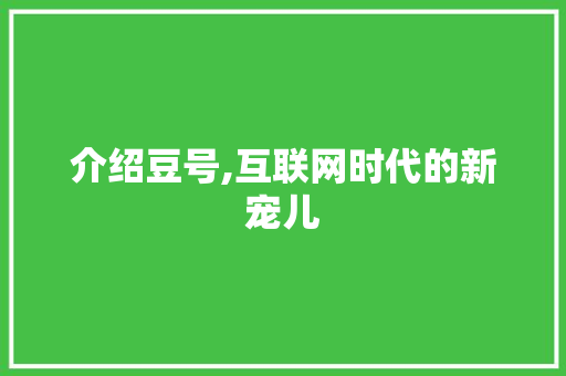 介绍豆号,互联网时代的新宠儿