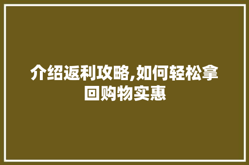 介绍返利攻略,如何轻松拿回购物实惠