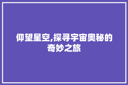 仰望星空,探寻宇宙奥秘的奇妙之旅