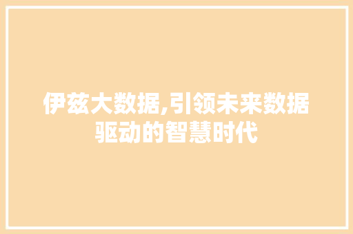 伊兹大数据,引领未来数据驱动的智慧时代