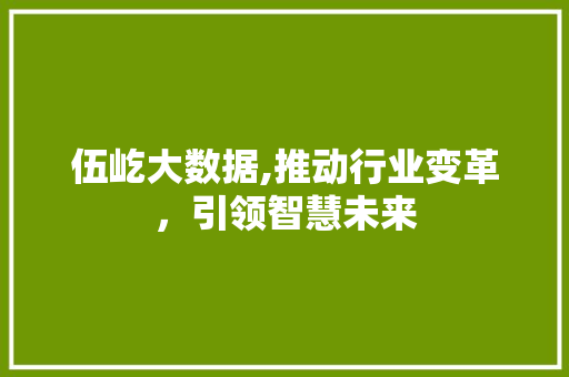 伍屹大数据,推动行业变革，引领智慧未来