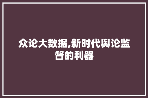 众论大数据,新时代舆论监督的利器