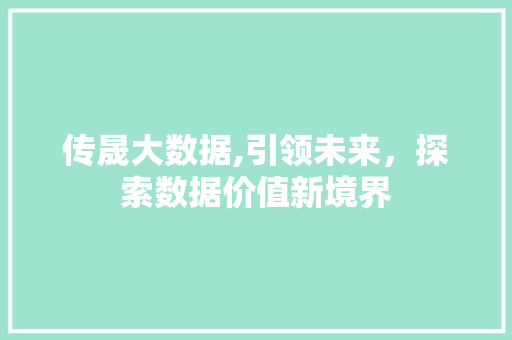 传晟大数据,引领未来，探索数据价值新境界