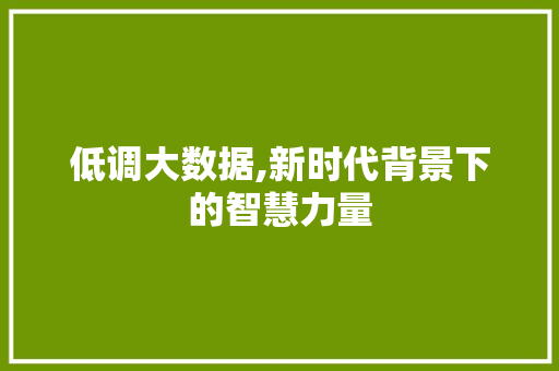 低调大数据,新时代背景下的智慧力量