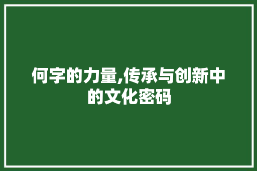 何字的力量,传承与创新中的文化密码