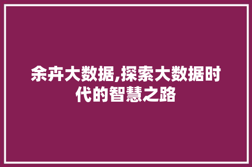 余卉大数据,探索大数据时代的智慧之路