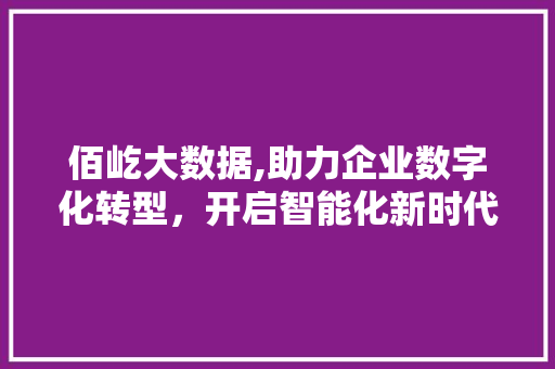 佰屹大数据,助力企业数字化转型，开启智能化新时代