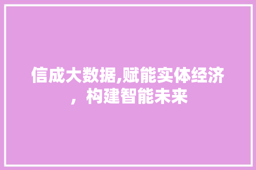 信成大数据,赋能实体经济，构建智能未来