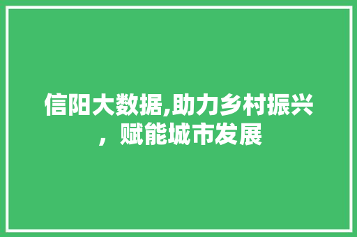 信阳大数据,助力乡村振兴，赋能城市发展